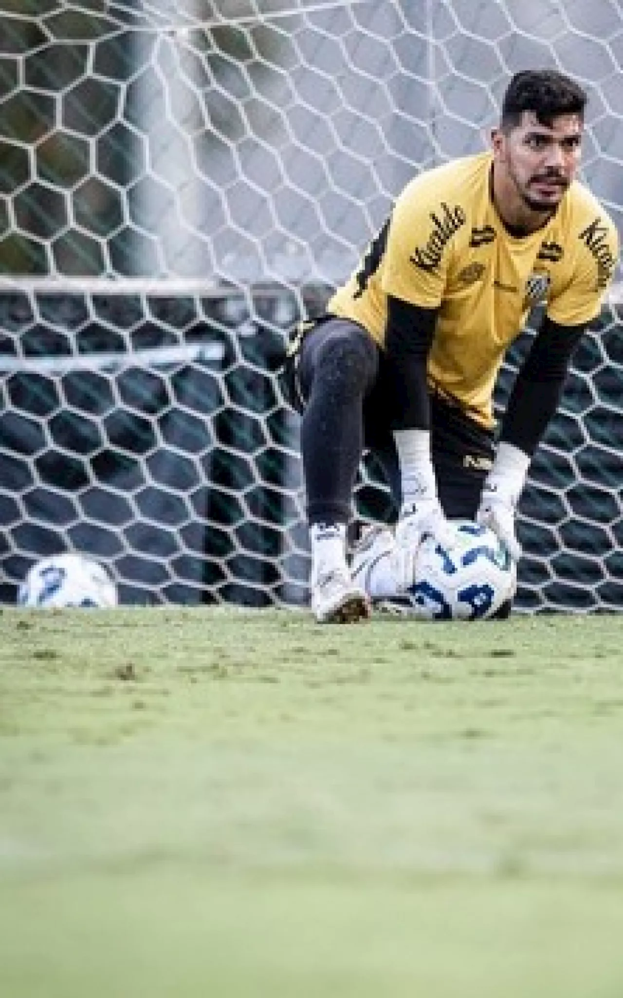 Fluminense tem interesse na contratação de goleiro do Santos