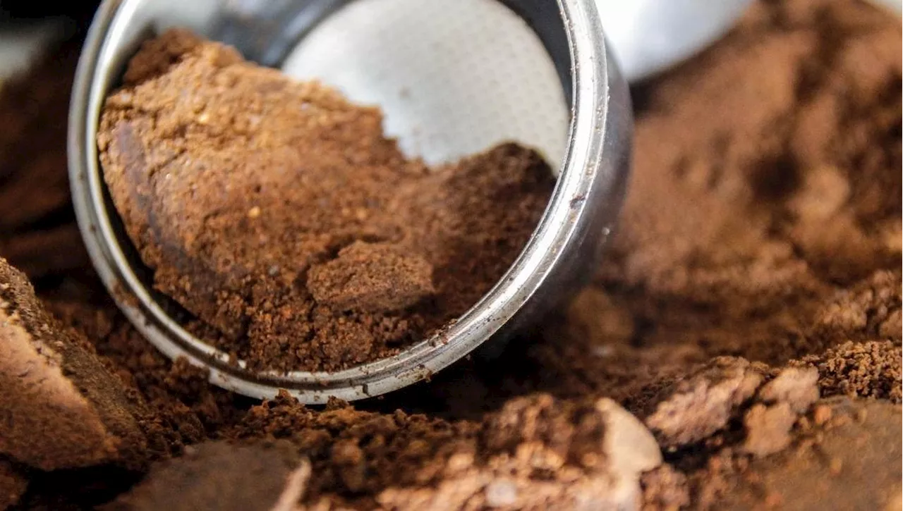 Come riciclare i fondi di caffè: idee e consigli