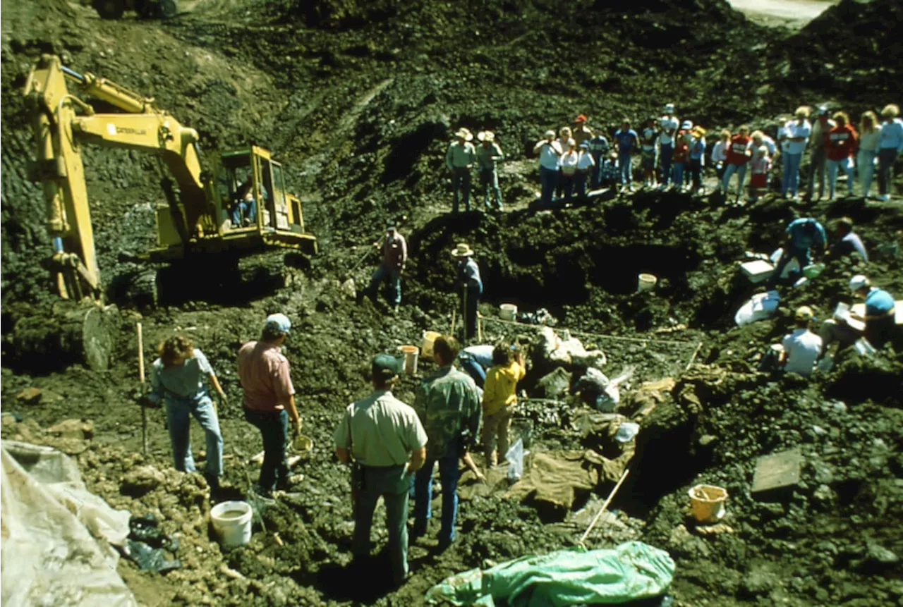 Meet the scientists who really care about Utah Hockey Club’s (potential) new name