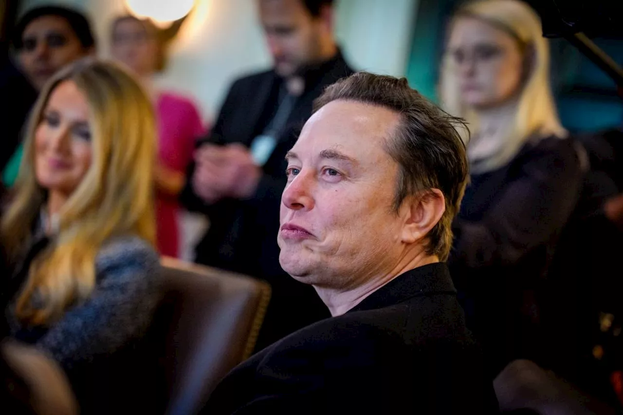 Trump praises Musk as chief disruptor eyes exit