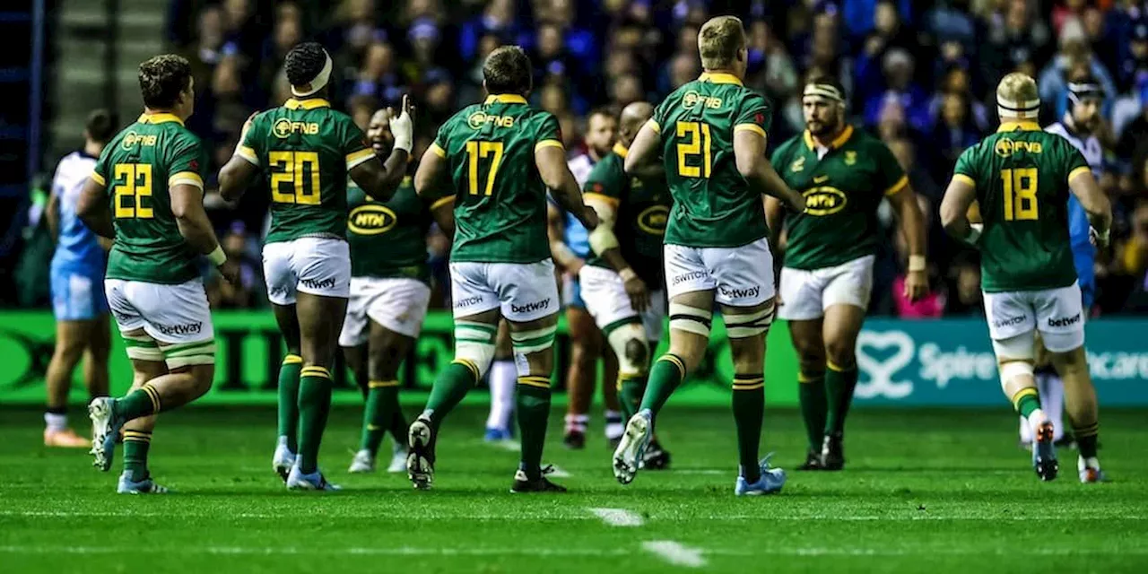 Springboks: Full referee panel for first three Tests in 2025