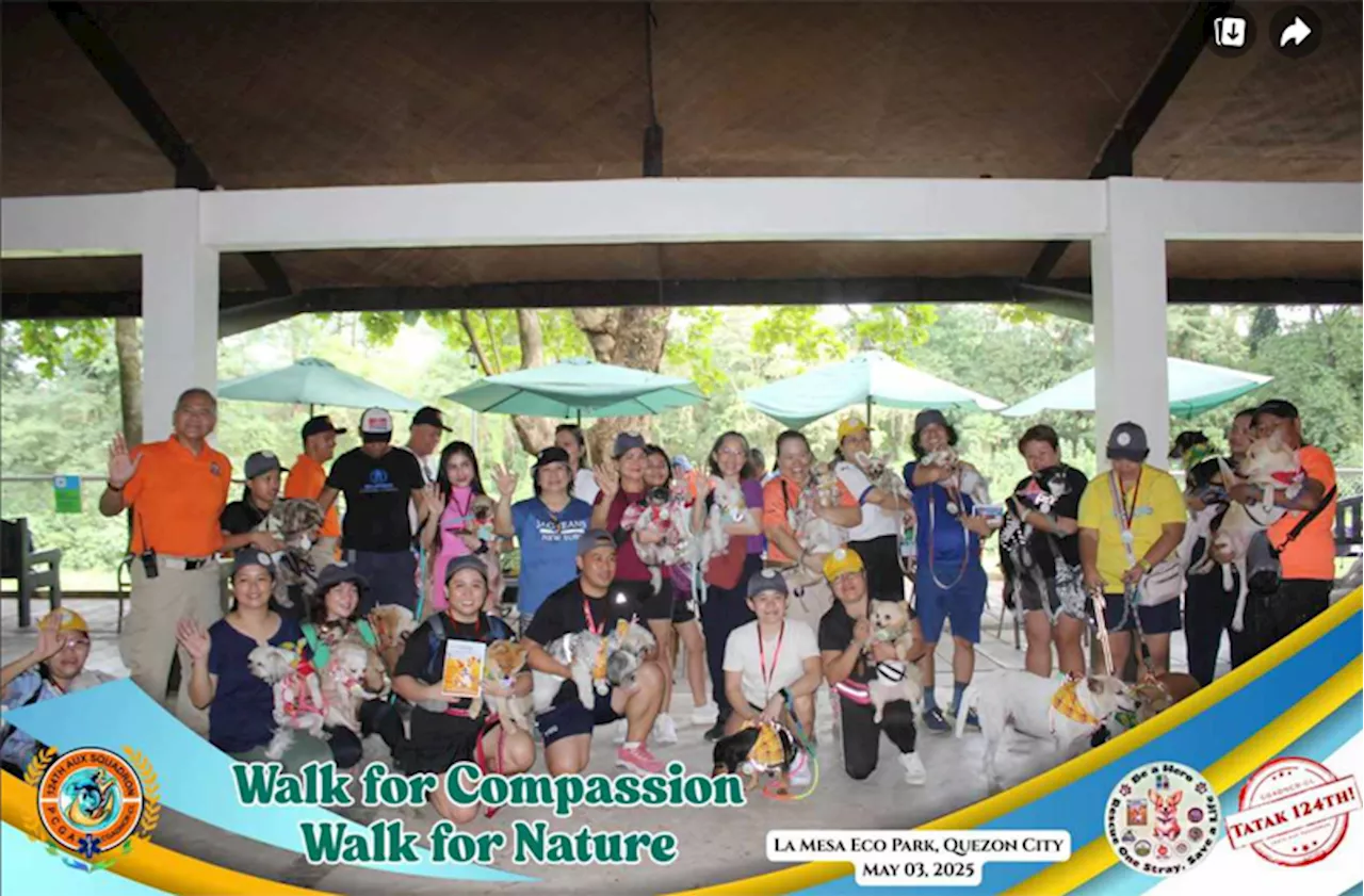 Walk for strays: Saving lives through awareness