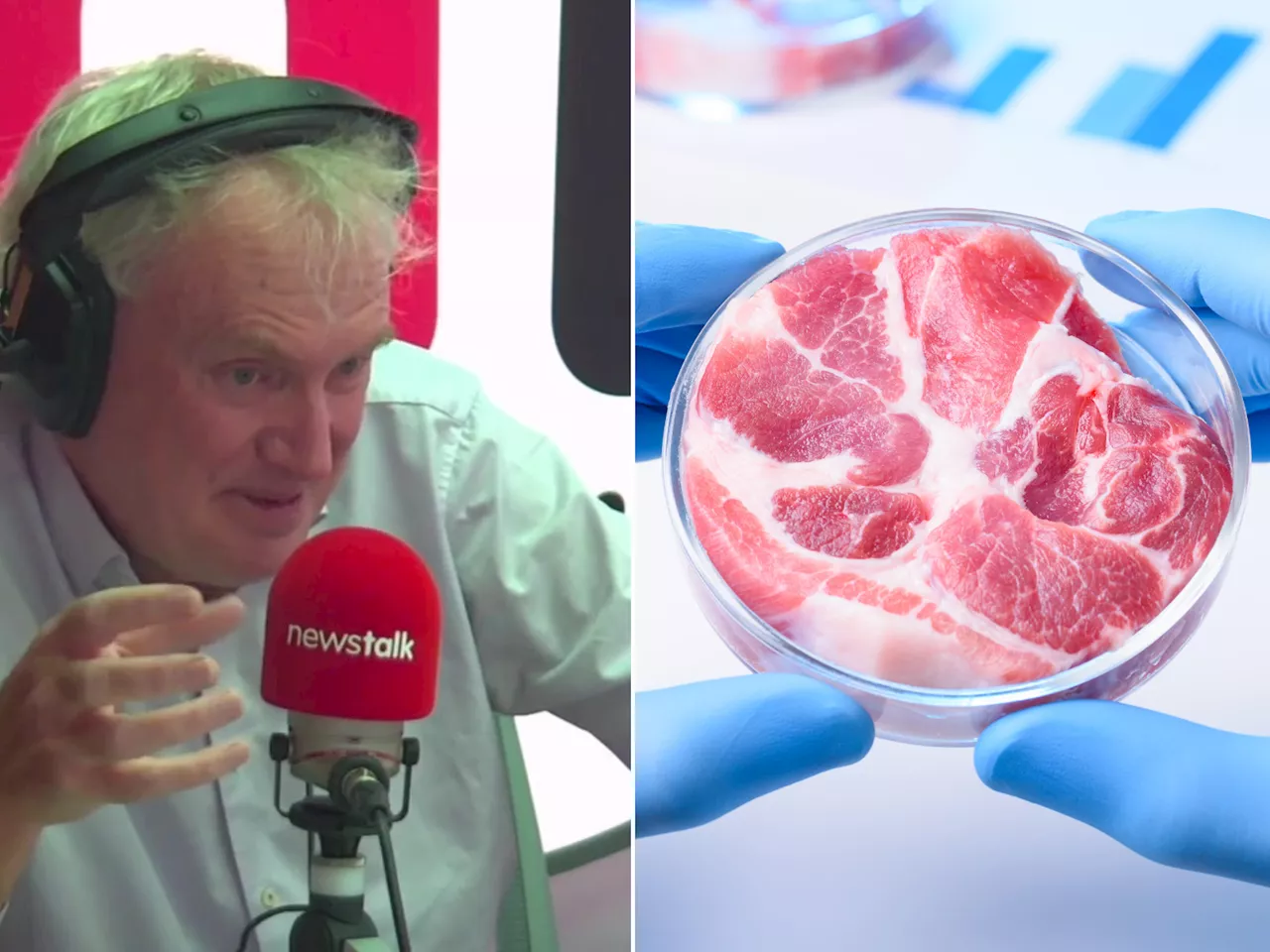 Luke O’Neill: Lab-grown meat could erase the need for farming