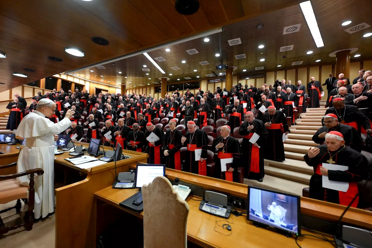 Pope Leo tells cardinals they must continue ‘precious legacy’ of Pope Francis