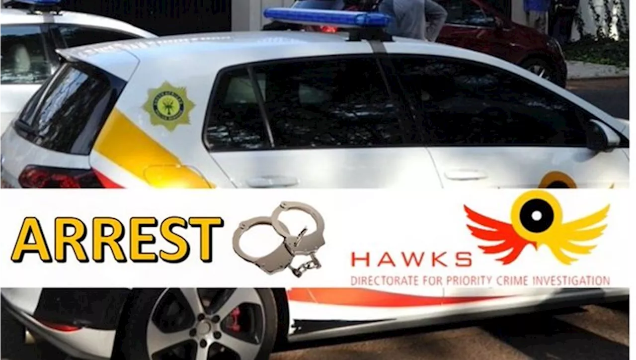Suspect to appear in court for allegedly posing as top Hawks official - SABC News