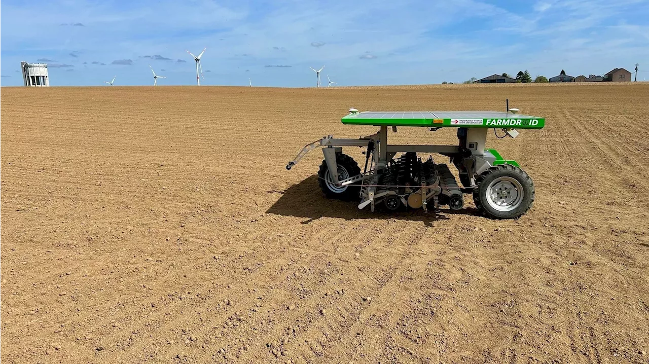 Un œil sur demain : enlever les mauvaises herbes avec l'intelligence artificielle, des robots pour aider nos agriculteurs