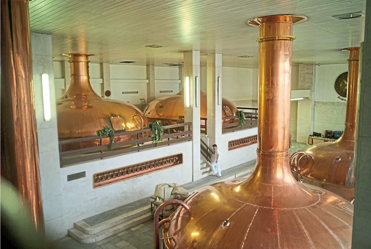 Hops, malt and barley: A beer tour of the Czech Republic