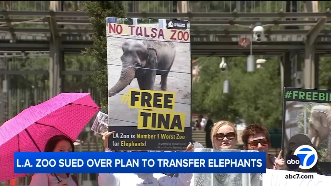 LA Zoo being sued over plans to transfer elephants to Tulsa Zoo in Oklahoma