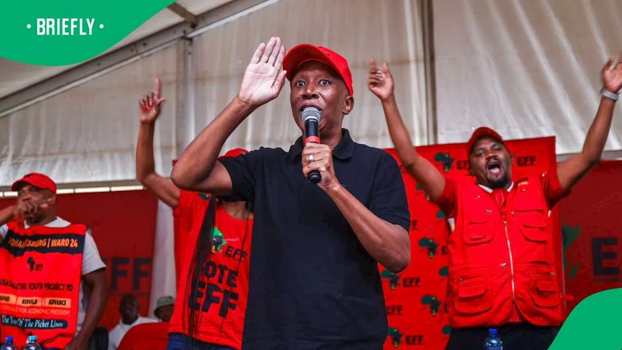 Julius Malema Calls for South Africans To Be Prioritised in Local Employment Efforts