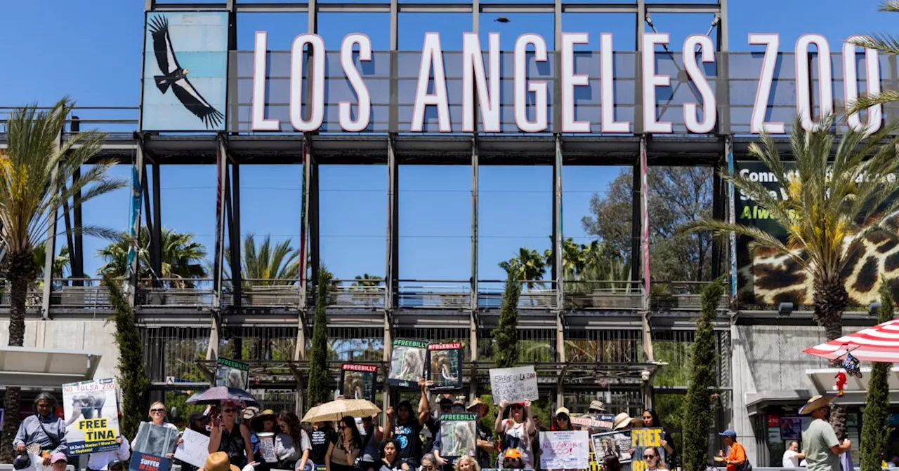 As L.A. resident sues zoo over Billy and Tina, Cher says elephants have 'served their time'