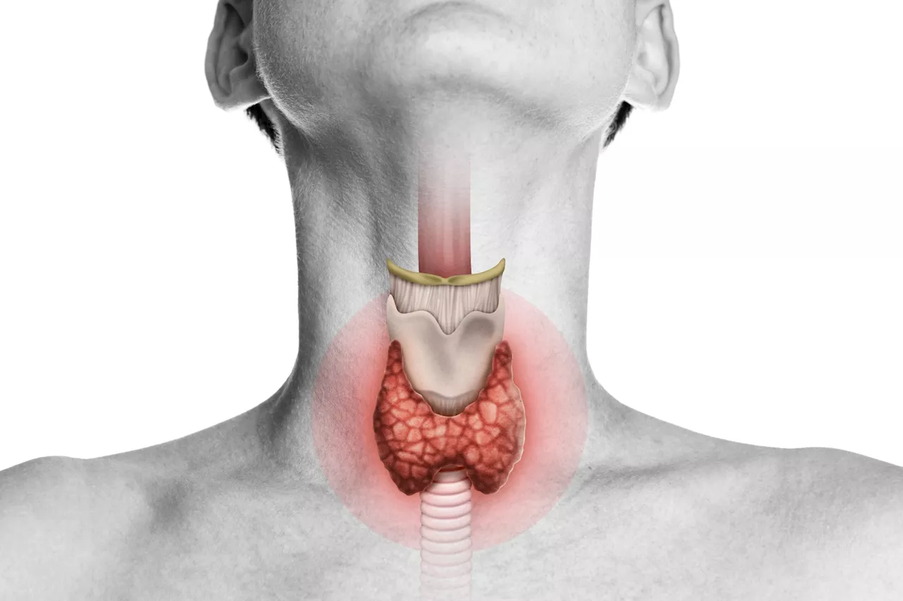 Vegetarians may need to watch thyroid health, especially with low iodine intake