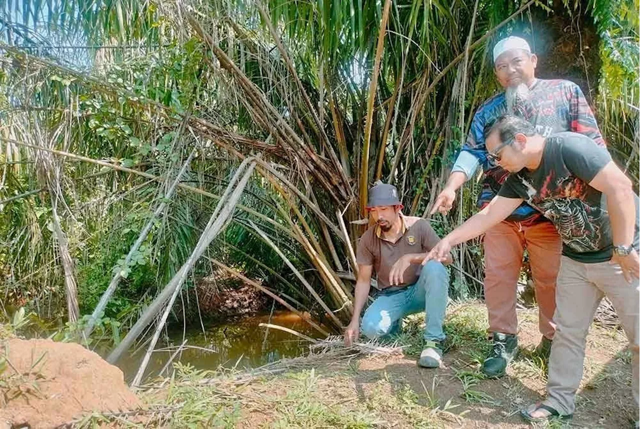 Croc alert: Batu Pahat residents warned after three predators spotted in river