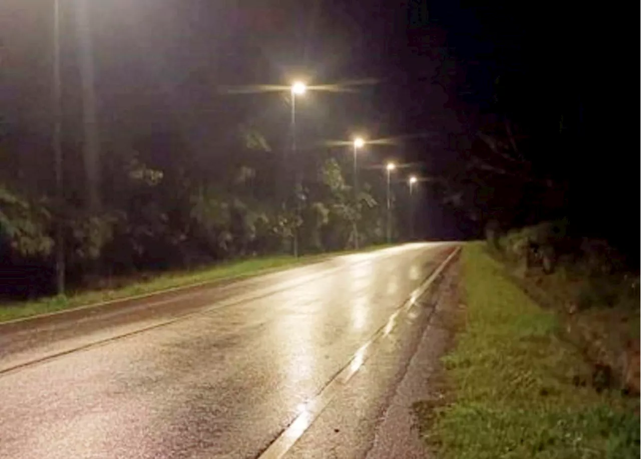 Viral video shows elephant on Gerik-Jeli East-West highway