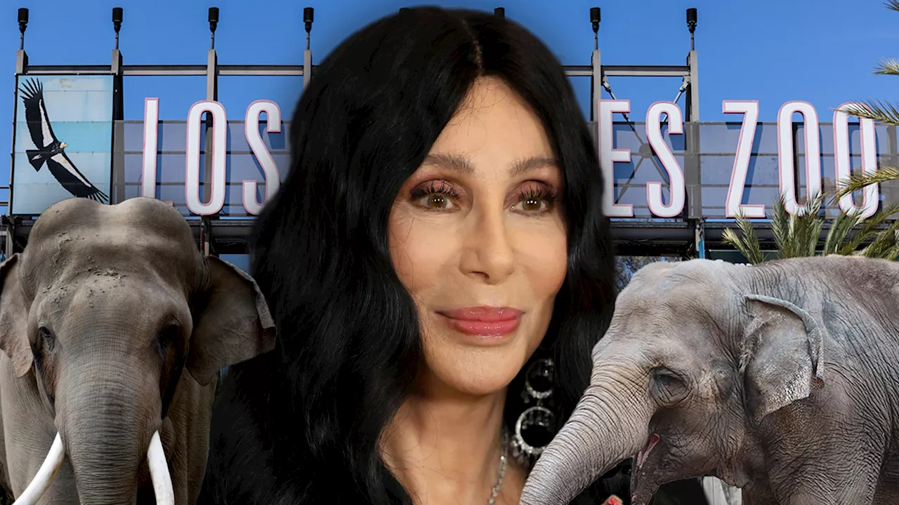 Cher Says L.A. Zoo Elephants Billy & Tina Have Done Their Time, Should Be Free