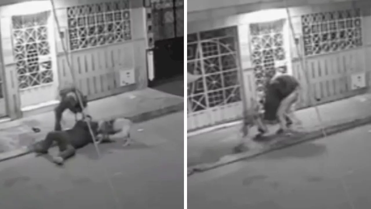  Peligrosa nueva modalidad de robo en Bogotá: ladrón usa su perro para delinquir