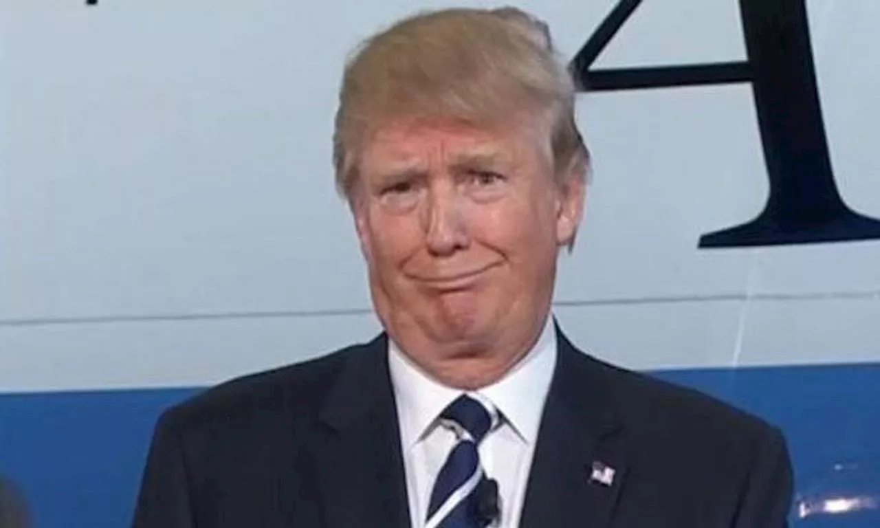 Here’s a list of celebrities who’ve publicly endorsed Donald Trump