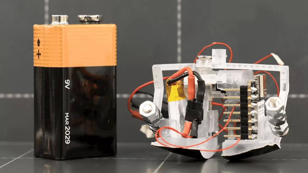 Battery-sized bipedal robot Zippy runs, climbs, and tackles rescue missions