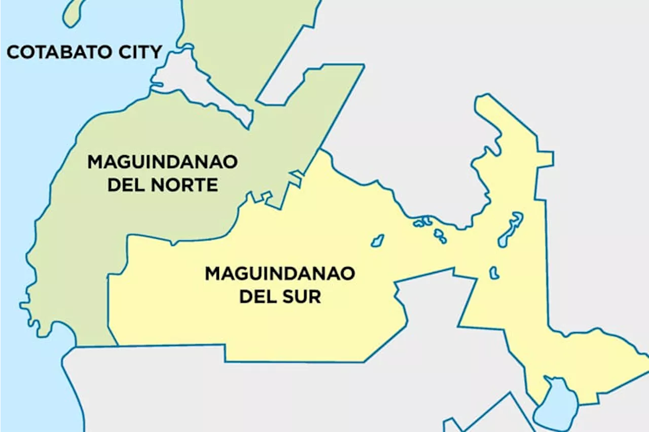 Troops confiscate firearms cache in Maguindanao Sur