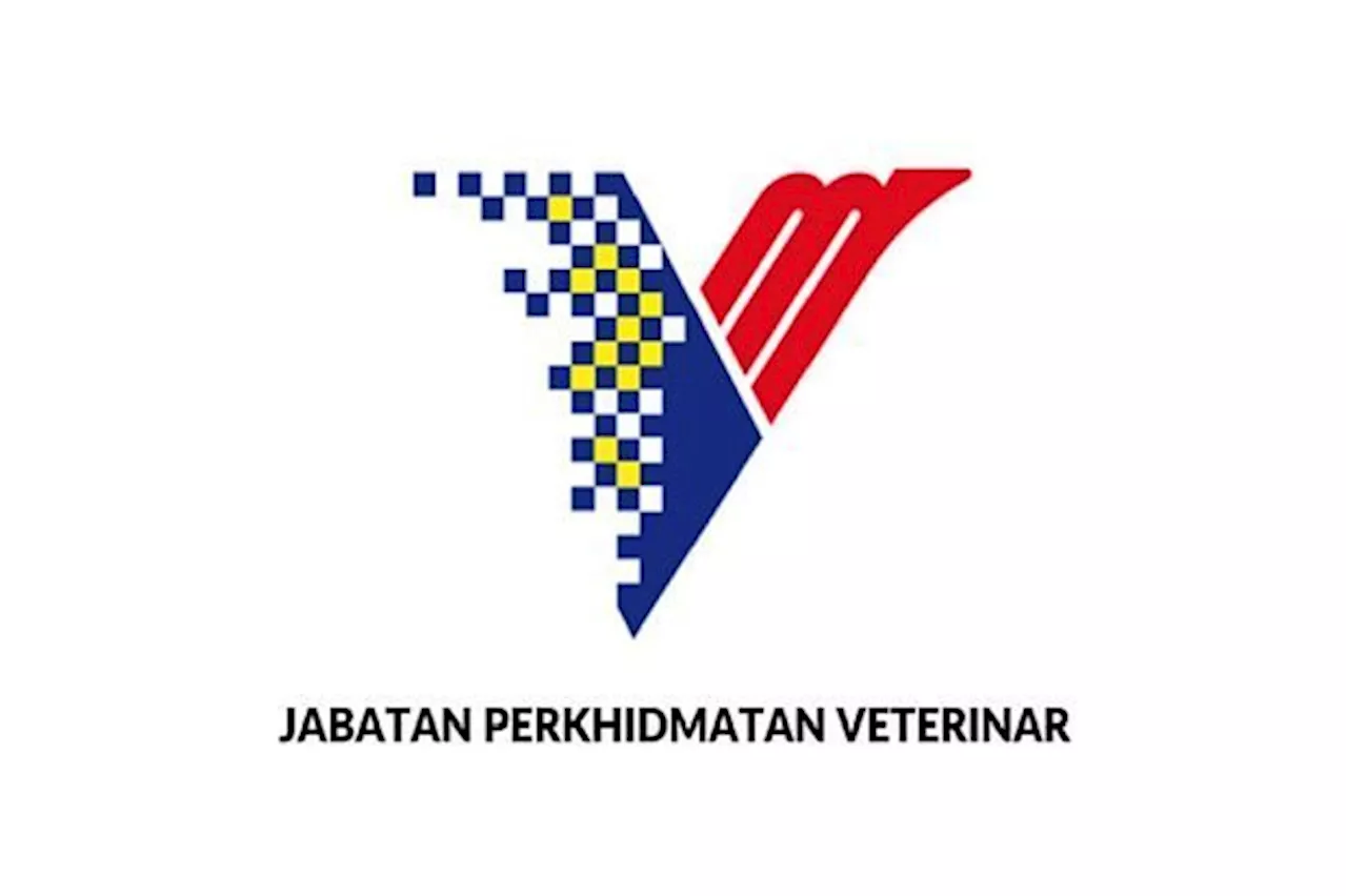 Malaysia free of Streptococcus infections linked to pigs, says DVS