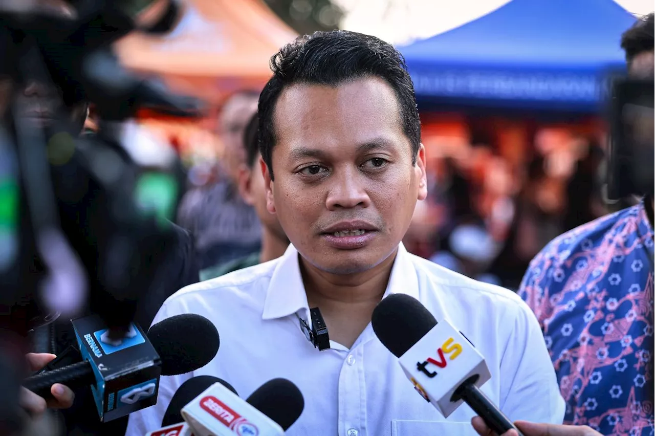 Set up ecological corridor to address human-elephant conflict, says Nik Nazmi