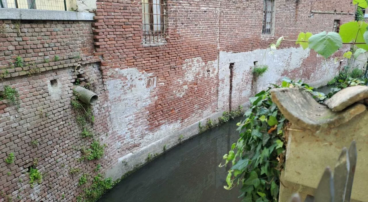 Garlasco, 18 anni dopo prosciugato il canale di Tromello: si cerca l'arma del delitto. I familiari di Chiara P