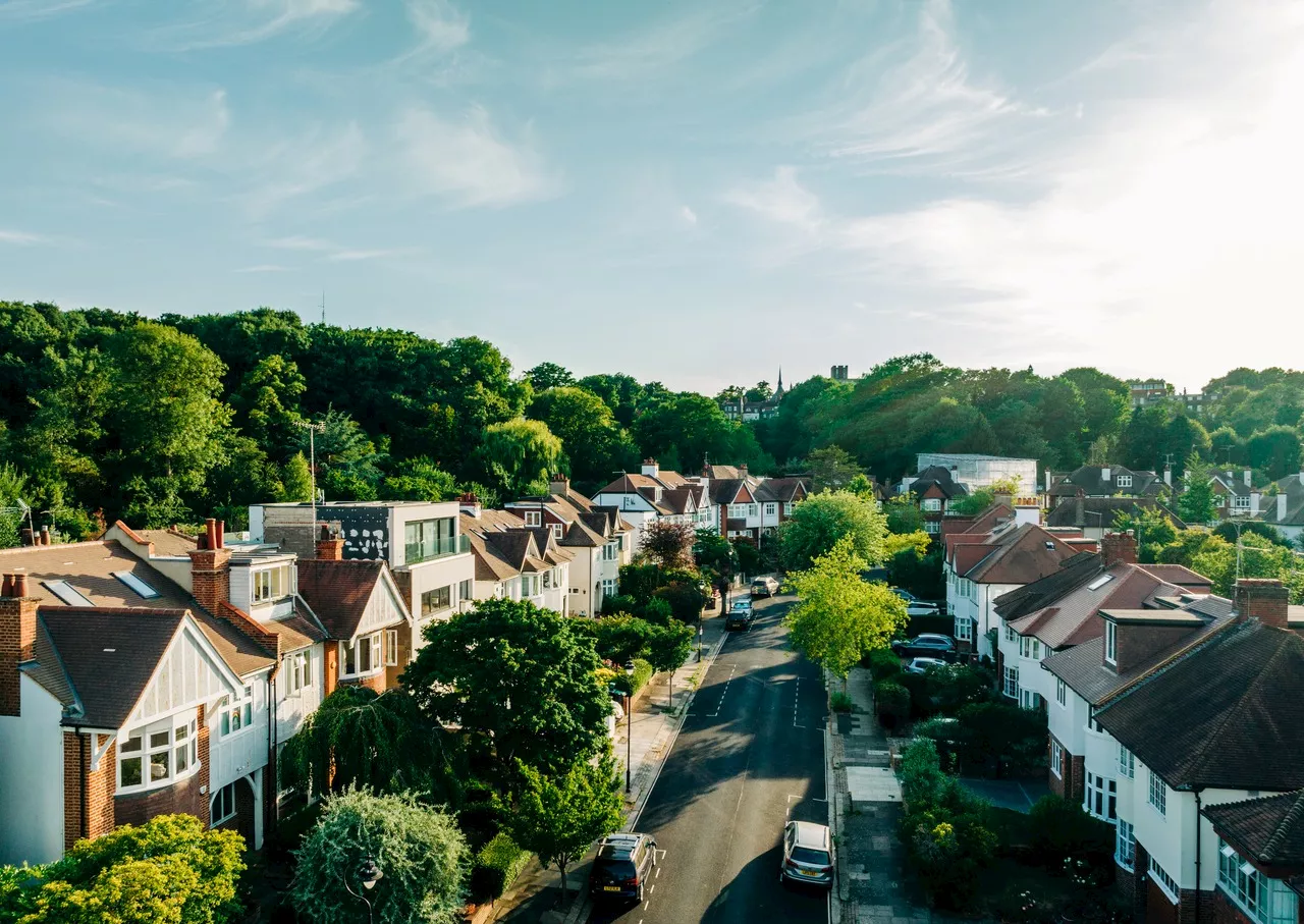 If you live here, you have a greater risk of getting this allergy: Here’s why