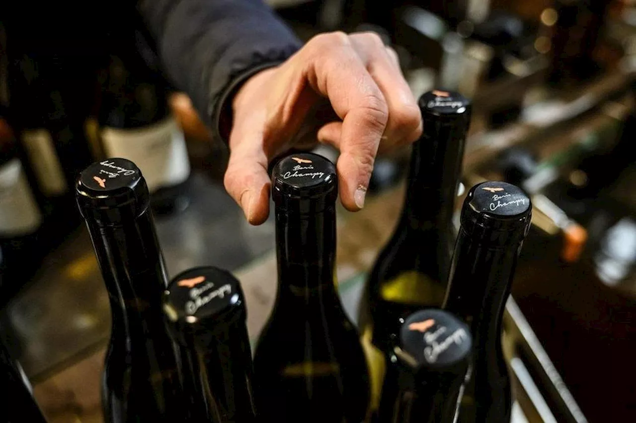 Hong Kong tycoon Joseph Lau selling HK$35mil wine collection