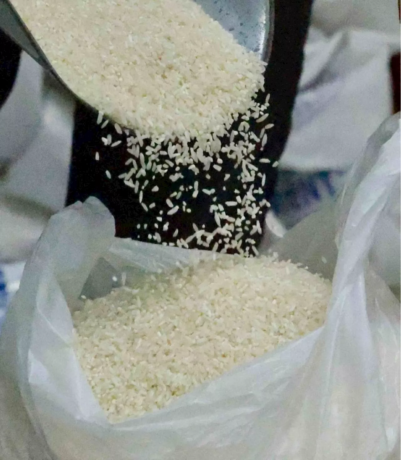 Palace: Gov't expands P20/kilo rice program to 32 more Kadiwa centers in provinces outside NCR