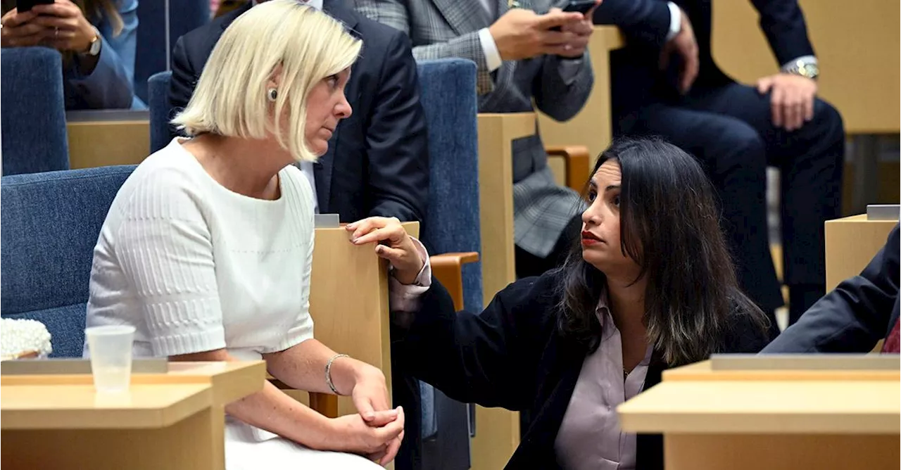 Ert regeringsunderlag är fullt av terrorromantiker