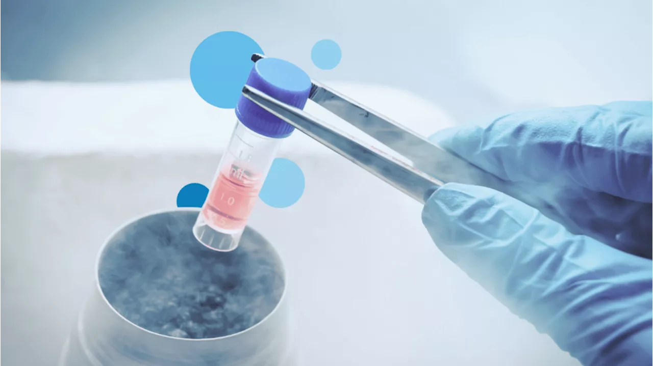 Ottenute super cellule staminali, più abili nel differenziarsi