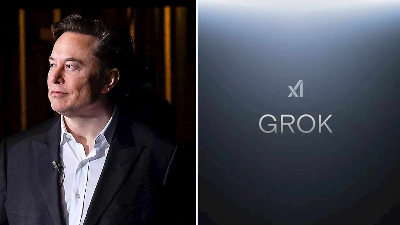 ‘White genocide’: Elon Musk’s chatbot promotes debunked claims about South Africa on X