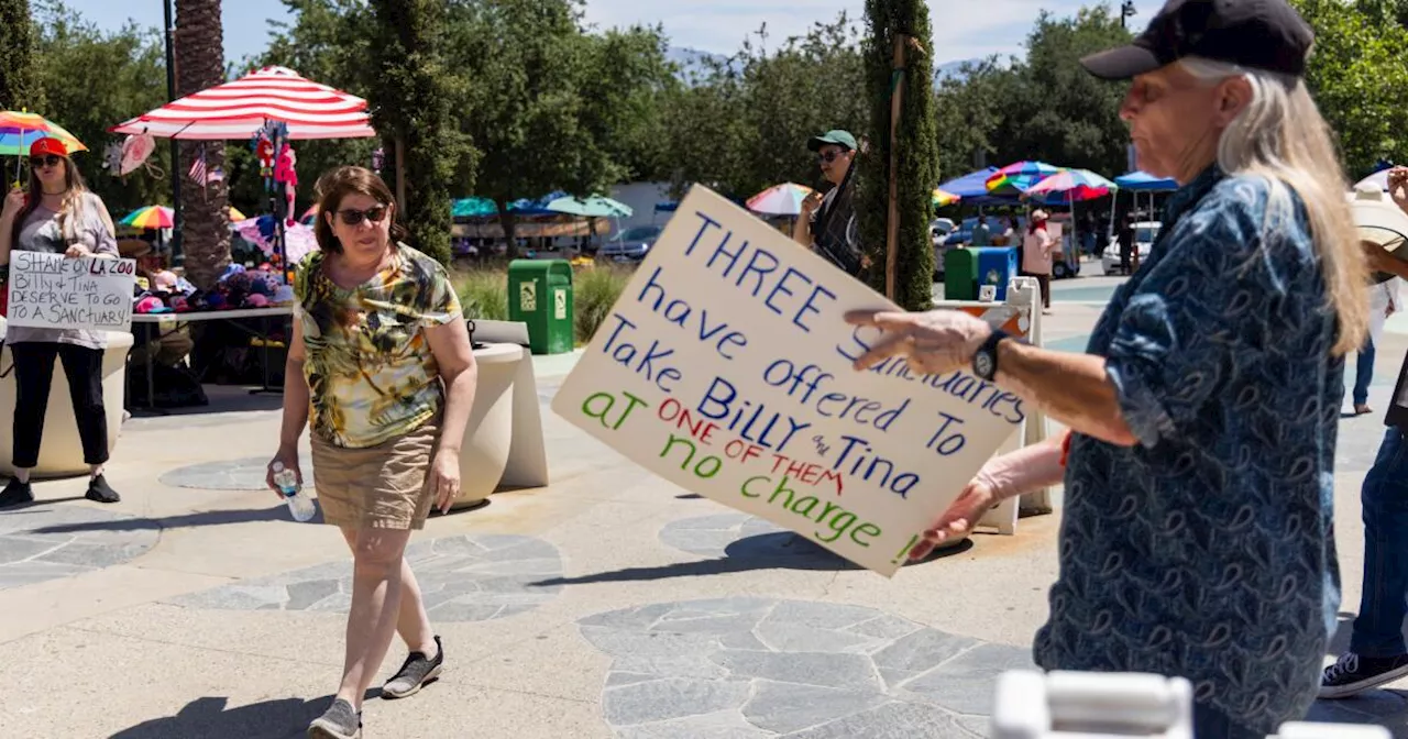 Judge denies emergency motion to stop transfer of L.A. Zoo elephants Billy and Tina