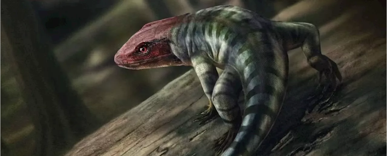 Scientists Discover Oldest Reptile Tracks, Rewriting Evolution Timeline