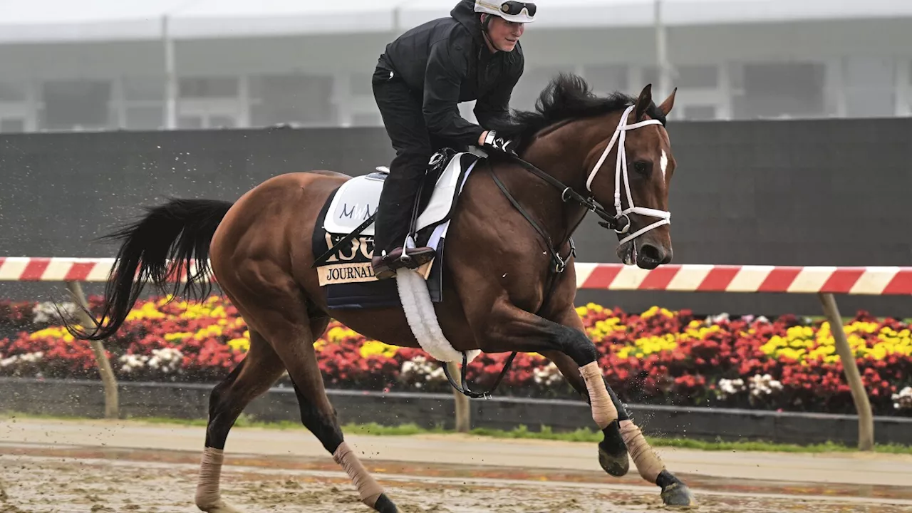 Journalism is the horse to beat in the Preakness. But recent trends show it won't be easy