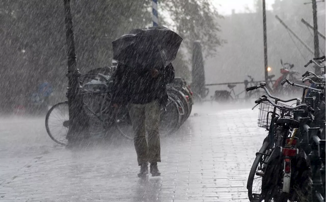 Metro Vancouver weather: Multiple rainstorms forecast for Victoria Day long weekend