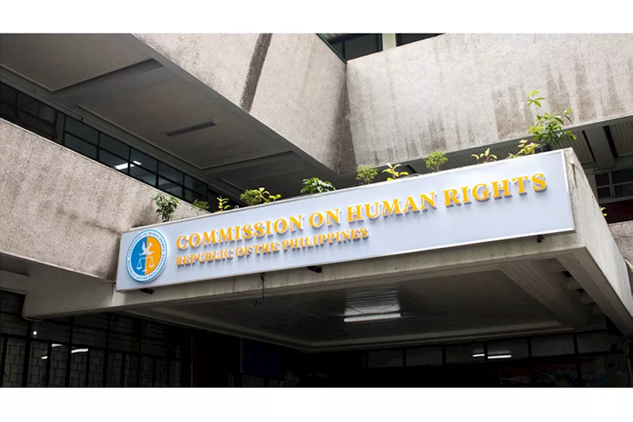 CHR cites gains of projects with foreign partners