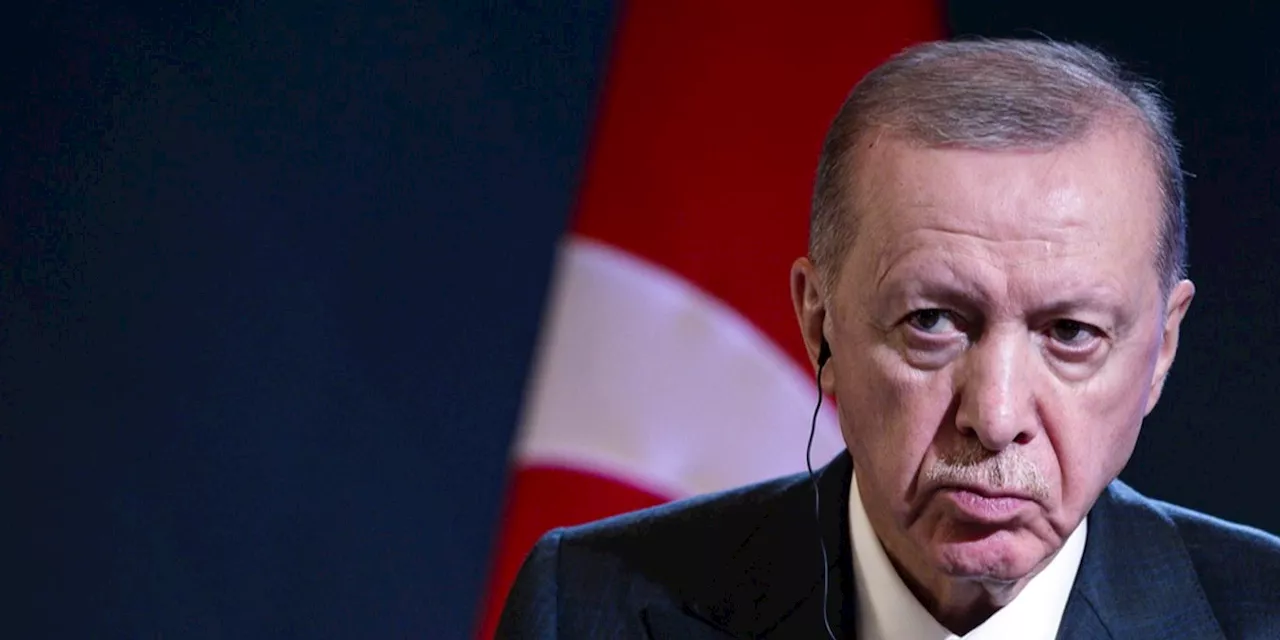 Auch ohne Putin: Erdogan als wahrer Gewinner des Istanbul-Treffens