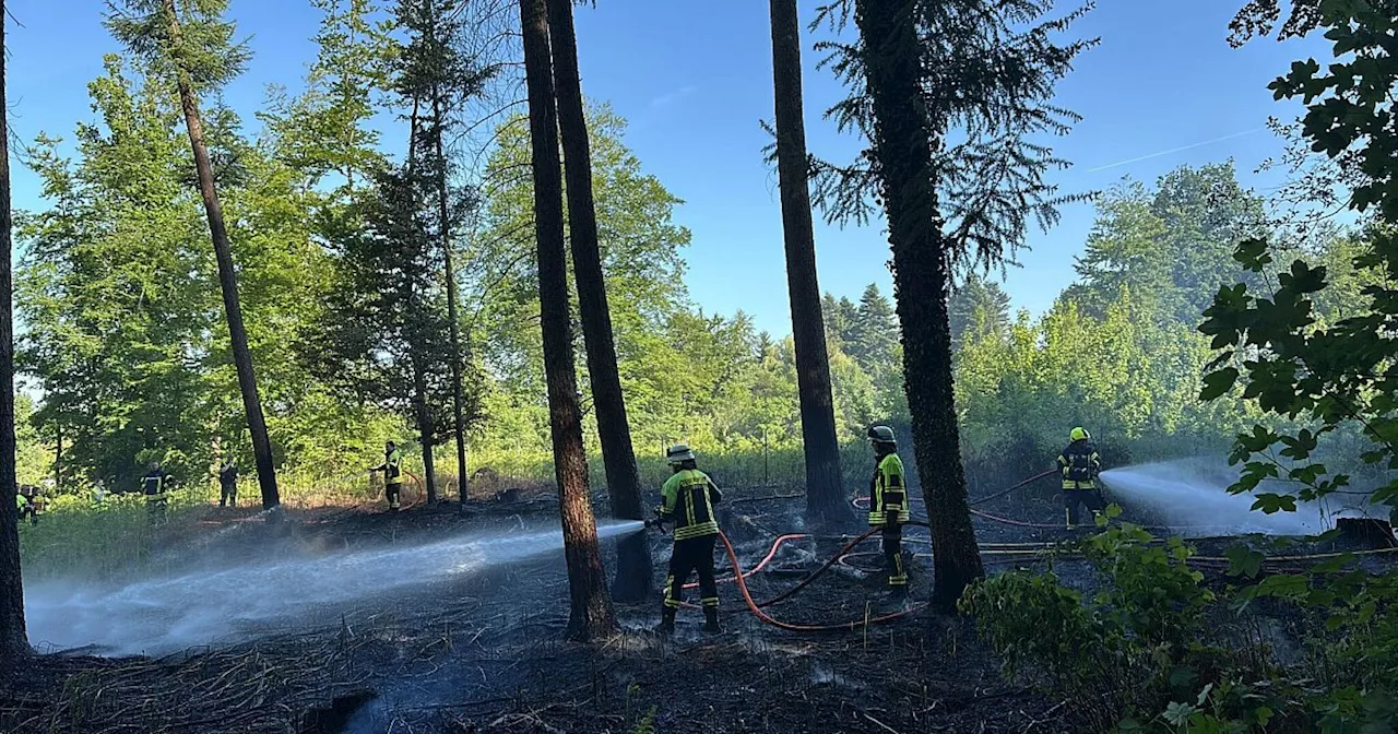 Polizei ermittelt nach Brand in der Nähe eines Engeraner Friedhofs