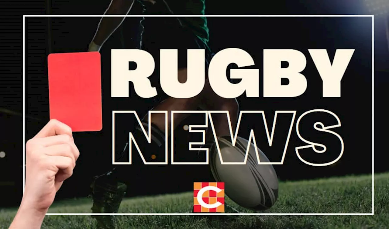 Stormers coach: Damian Willemse’s red is a disaster