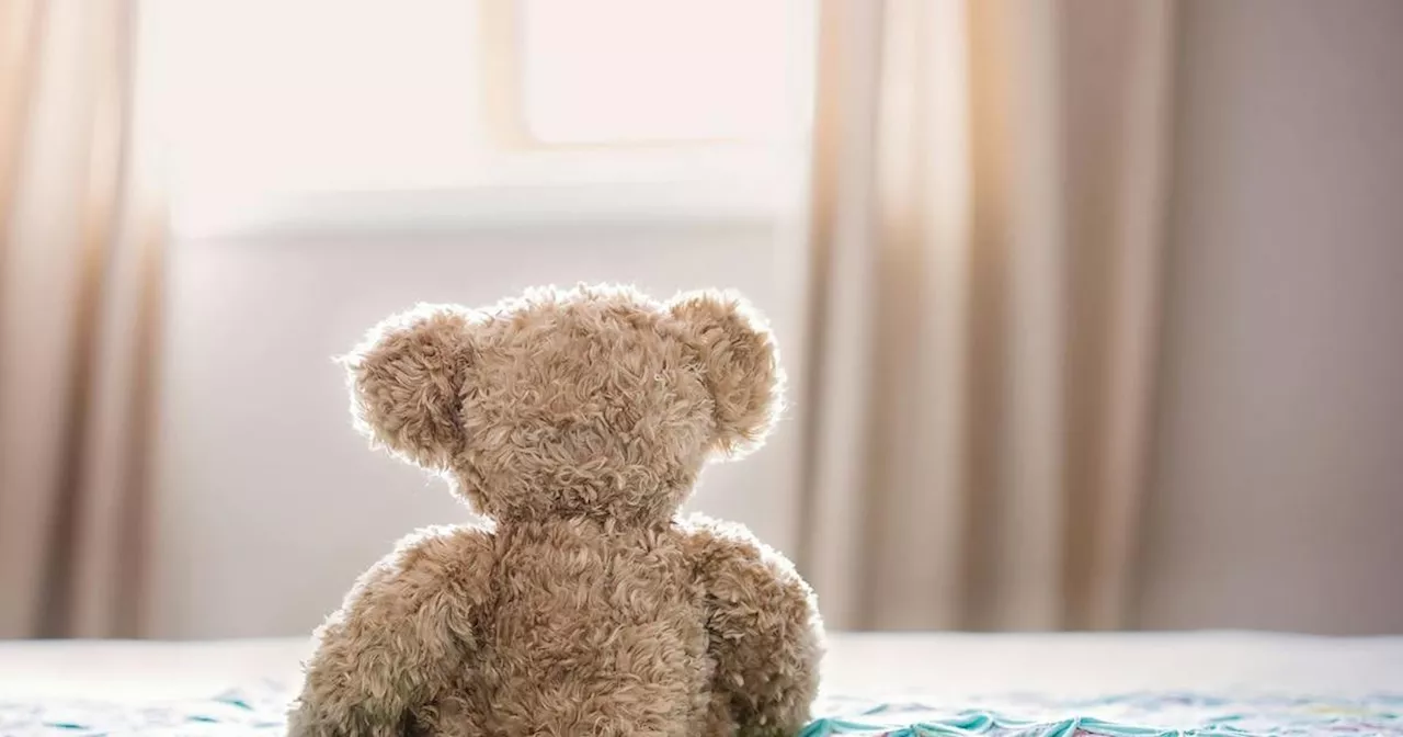 WC MEC for social development calls for child safety to be prioritised