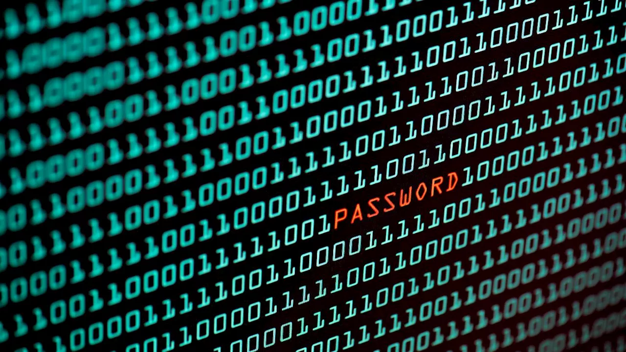 Methode soll Vorteile haben: Forscher speichern Passwort in einem Molekül