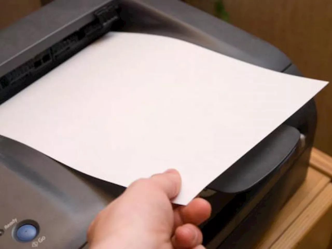 Mincomercio impone arancel a papel fotocopia importado de Brasil: ¿en cuánto quedó?
