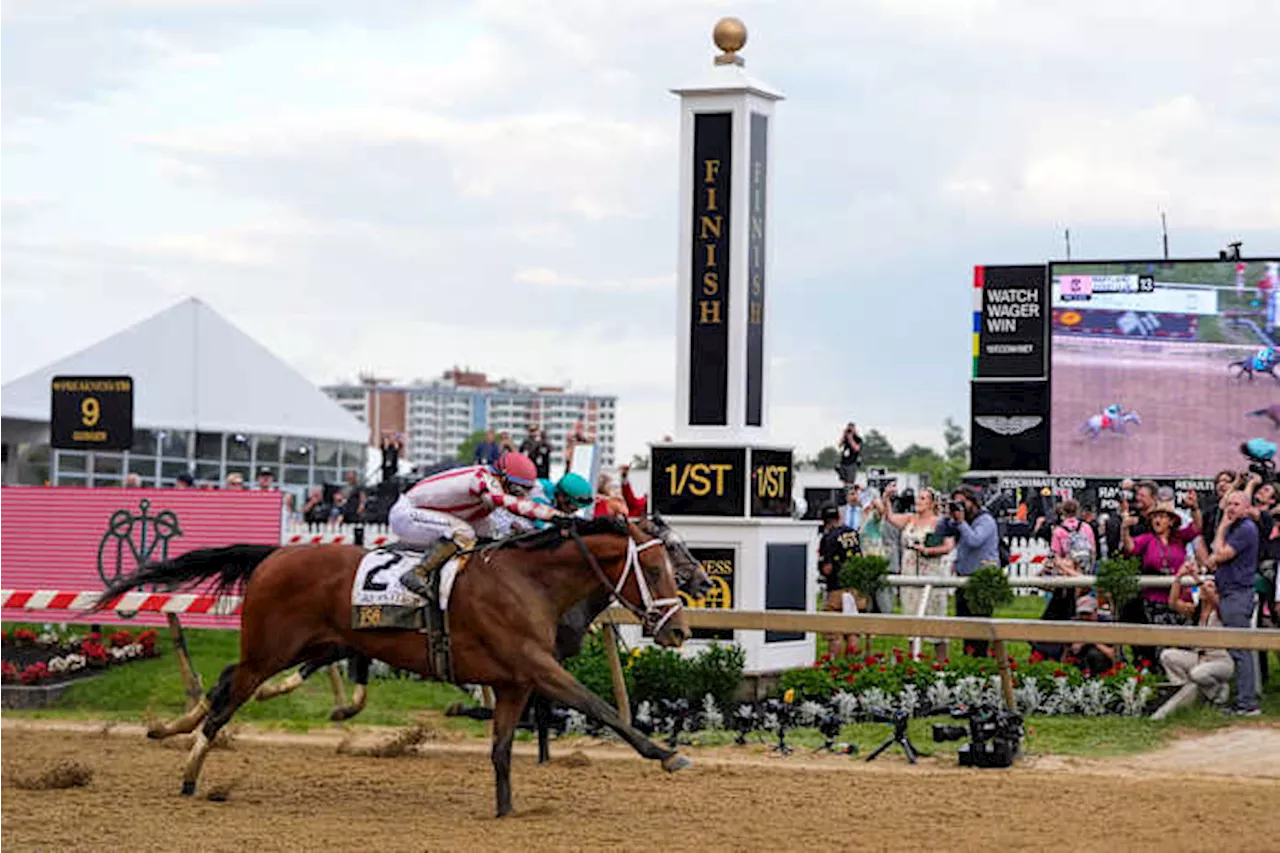 Journalism comes from behind to win the Preakness 2 weeks after finishing 2nd in the Kentucky Derby