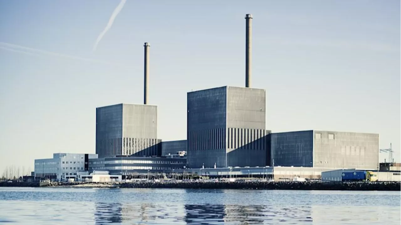 DTU-professor dumper regeringens atomkraft-kompromis: »Der er ingen logik i at lave en analyse«