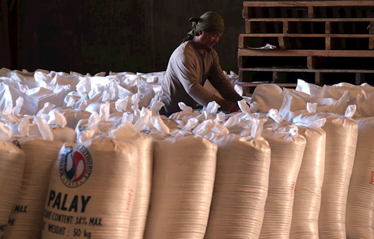 DA to extend P20/k rice program to 2028