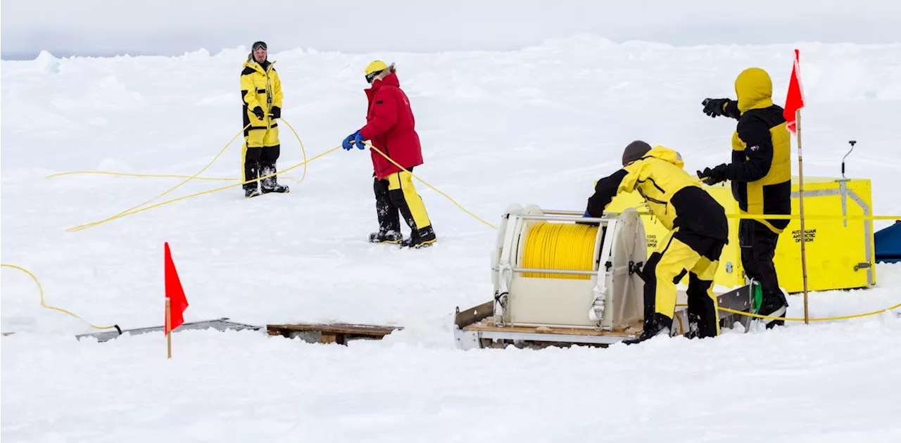 Climate scientists are trusted globally, just not as much as other scientists