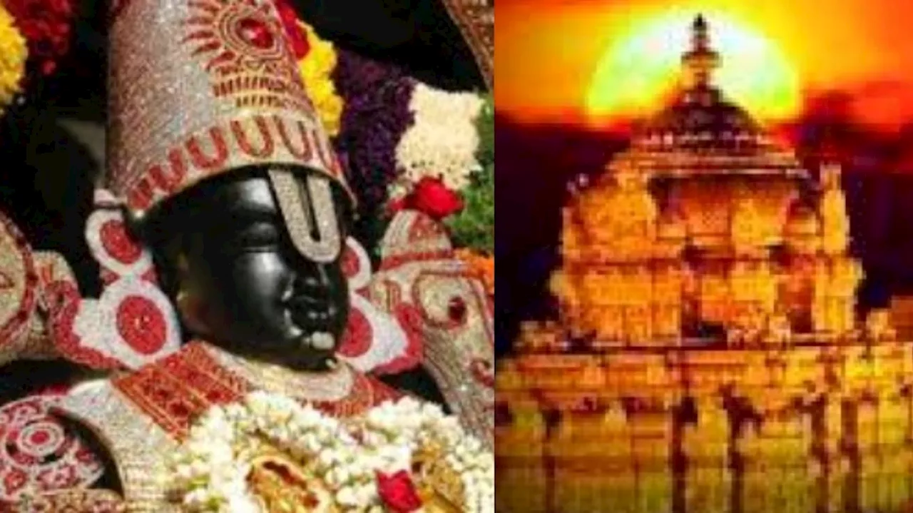 Tiruamala: టీటీడీపై 17 ఏళ్ల పోరాటం.. స్వామి వారి ఆశీస్సులతో విజయం సాధించిన భక్తులు.. స్టోరీ ఏంటంటే..?