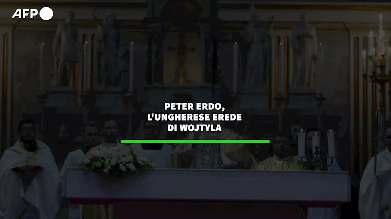 Verso il conclave, chi sono i papabili: Erdo