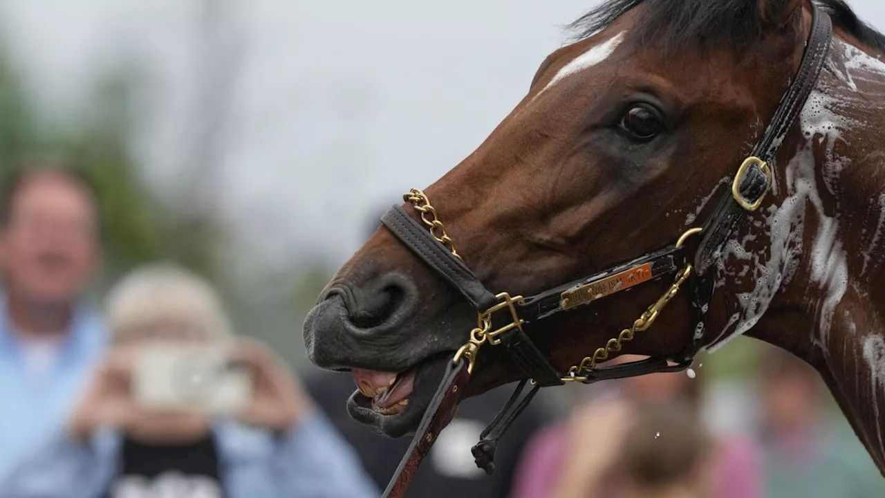 The 151st Kentucky Derby could be a mudder's delight with rain in the forecast