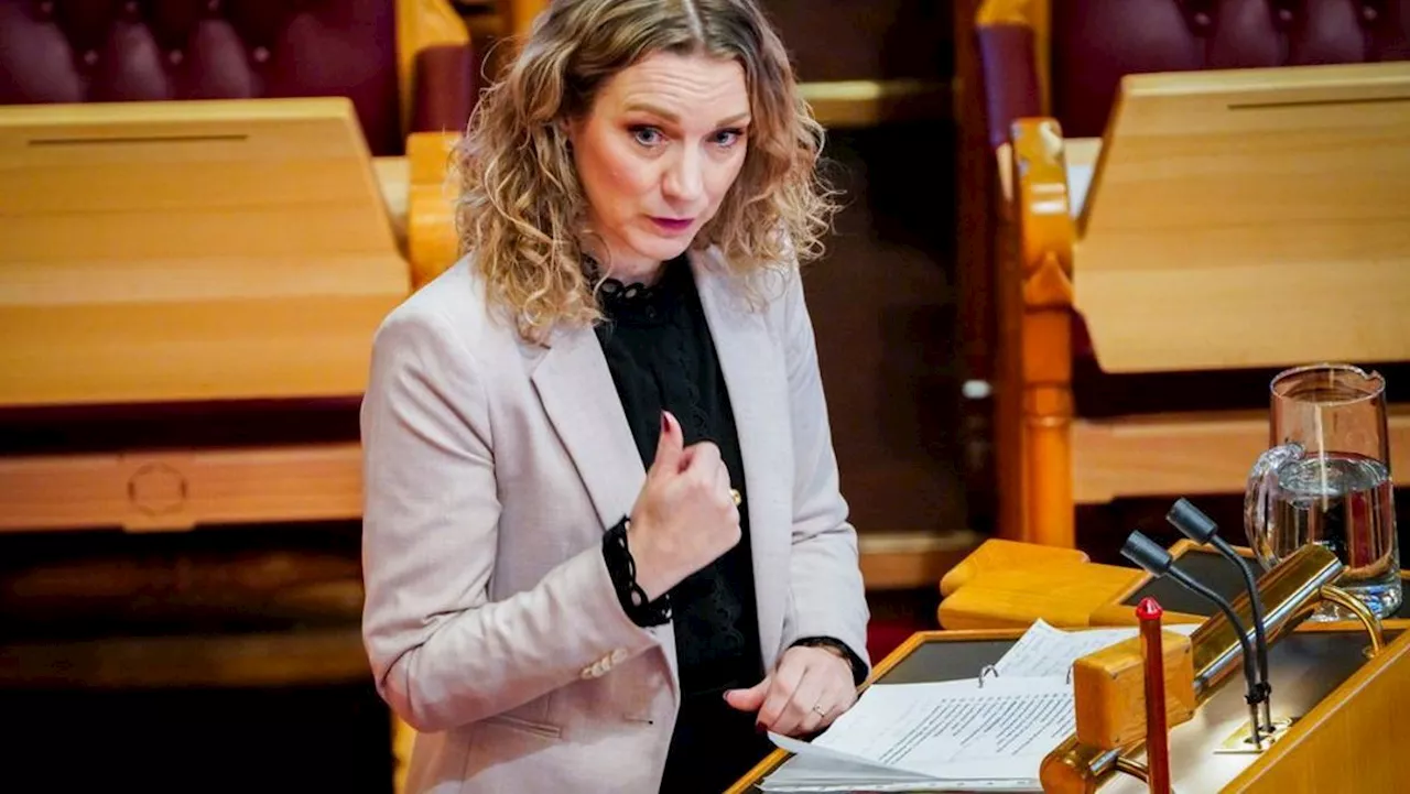 NHH-forsker: Flott med nasjonal digitaliseringsstrategi, men hva med organiseringen?